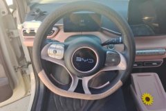 2024 BYD Seagull 2024 Glory 305km vitalityEdition #15