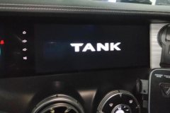2024 Tank 300 2024 2.0T AT conqueror #13