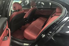 2021 BMW 5 Series 2021 2.0T AT 530LiLeadingLuxury Pkg #11