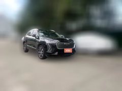 2021 Haval Chulian 2021 1.5T AT Large4Edition #3