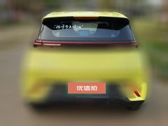 2023 BYD Seagull 2024 Glory 305KM freeEdition #7