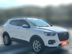 2018 Haval H2s 2018 1.5T AT Red LabelLuxury #4