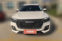 2024 Haval H6 2023 China tideEdition 1.5T AT Champion #2