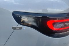 Left Rear Taillight Assembly