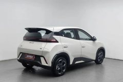 2024 BYD Seagull 2025 305km freeEdition #2