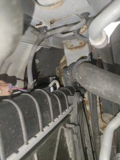 Radiator Support