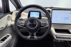 2022 BYD Dolphin 2021 405km Fashion #15