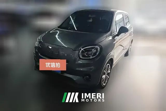 2021 Leapmotor T03 2021 400Enjoy lightlyEdition NMC