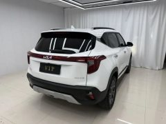 2023 Kia Seltos 2023 1.5L AT CVTLuxury #6