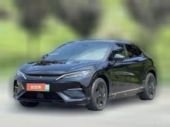 2025 BYD Song L EV 2025 550km excellence #1