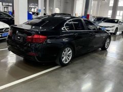 2017 BMW 5 Series(Imported) 2014 2.0T AT 520iElegant (Imported) #12