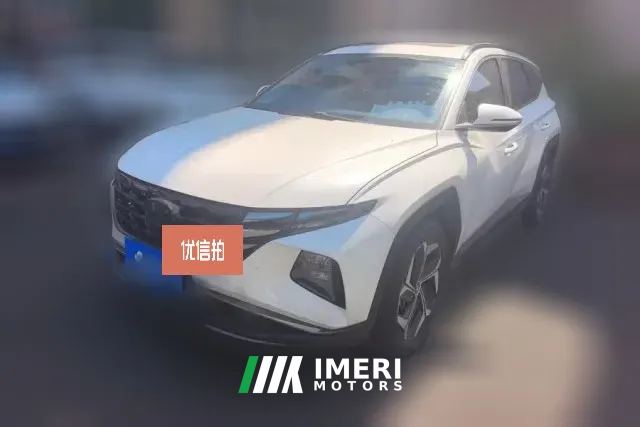2024 Hyundai Tucson 2023 TucsonL 1.5T AT 2WDDLXLuxury