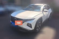 2024 Hyundai Tucson 2023 TucsonL 1.5T AT 2WDDLXLuxury #1