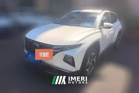 2024 Hyundai Tucson 2023 TucsonL 1.5T AT 2WDDLXLuxury