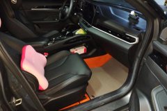 2025 Geely Auto Binyue 2025 BinyueL 1.5TD DCT Star Diamond #8