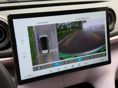 2022 BYD Dolphin 2021 405km Fashion #9