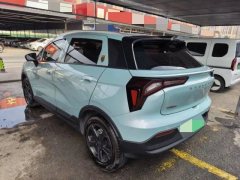 2022 Geometry E Firefly 2022 320KM Well behaved tiger 4Seat #9