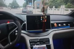 2022 BYD Song Plus New Energy 2021 1.5L AT DM-i 51KM Honor #13