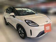 2025 Wuling Motors Wuling Bingo S 2025 430km Flagship #3