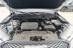 2025 Haval H6 2024 1.5T AT 2WDClassic #10