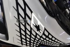 Intake Grille