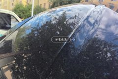 Engine Hood