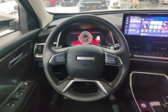 2024 Haval H6 2023 China tideEdition 1.5T AT Champion #15