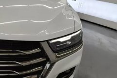 2022 Haval H6 2021 1.5T AT China tideChampion #5