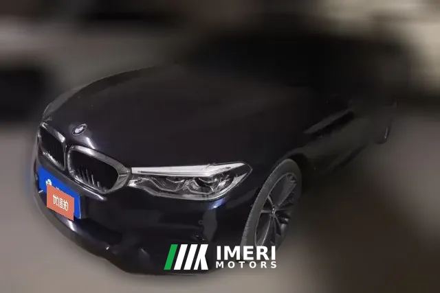 2020 BMW 5 Series 2020 2.0T AT 530LiLeadingLuxury Pkg