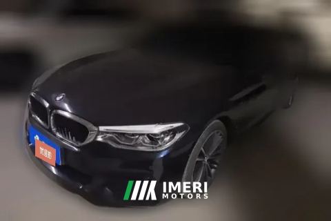 2020 BMW 5 Series 2020 2.0T AT 530LiLeadingLuxury Pkg