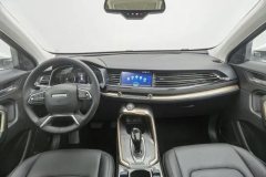 2019 Haval H6 2019 1.5T AT GDIChampion China VI #14