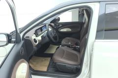 2025 Wuling Motors Wuling Bingo 2024 333km Joy #9