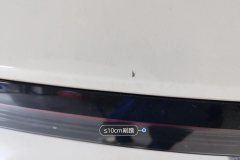 Trunk Lid