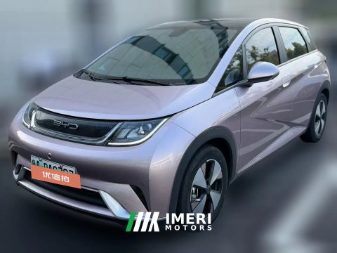 2024 BYD Dolphin 2024 Glory 420km Fashion