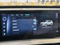 2022 Chery Tiggo 8 Pro 2022 1.6T AT 290T 2WDstormEdition 5Seat #26