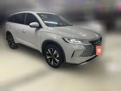 2025 BYD Sea Lion 05 DM-i 2025 1.5L AT DM-i 75KMLuxury #3
