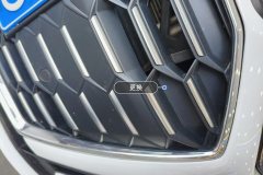 Intake Grille