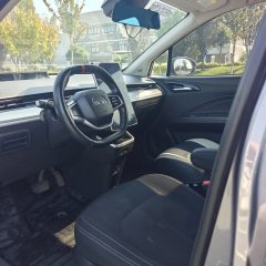 2022 Neta V 2022 tide 300 Lite NMC #10