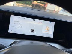 2024 BYD Song L DM-i 2024 1.5L AT 112km Leading #8