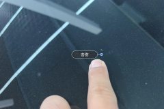 Windshield