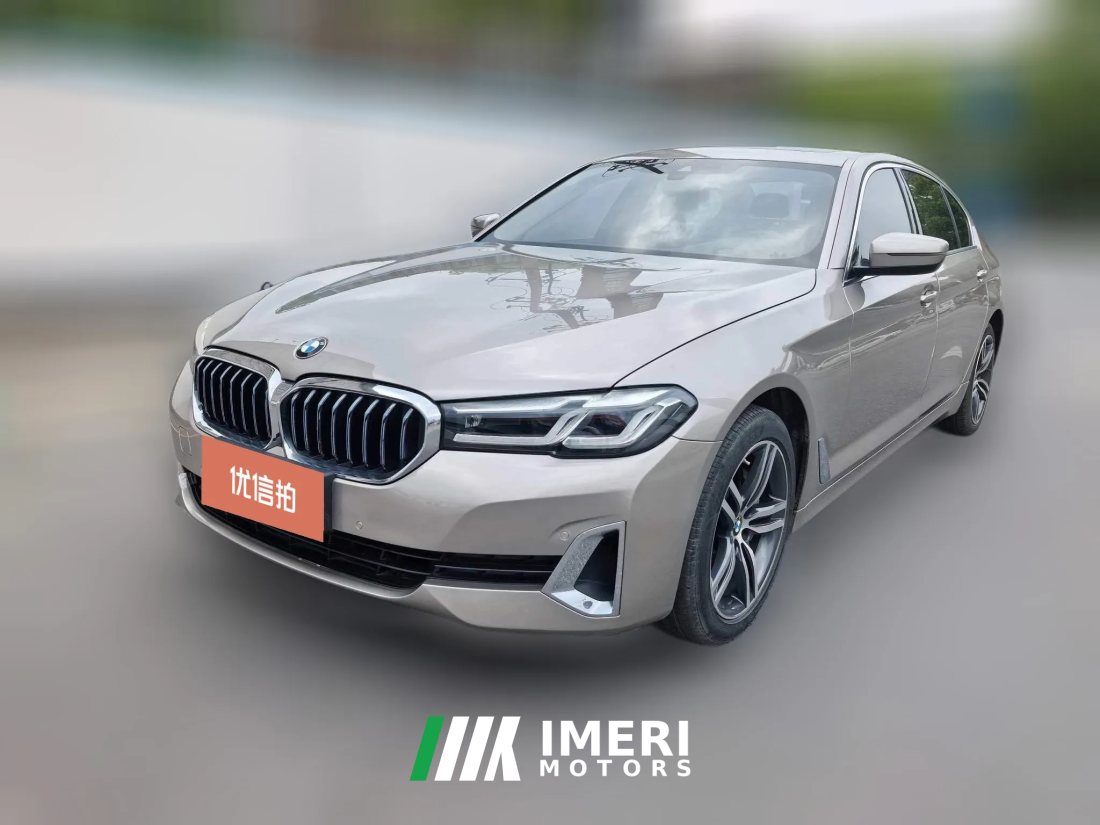 2021 BMW 5 Series 2021 2.0T AT 530LiLeadingLuxury Pkg