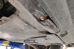 Engine Under Cover