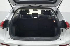 2020 Haval H6 2021 1.5T AT Champion #20