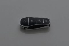 2025 BYD Dolphin 2025 Smart Drive 410km Fashion #10