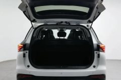 2020 GAC Trumpchi Trumpchi GS4 2020 1.5T AT 270TSmart ConnectTech #20