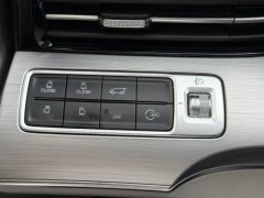2022 Roewe iMAX8 2022 2.0T AT 400TGI GatheringEdition #15