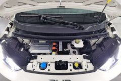 2024 BYD Seagull 2025 305km freeEdition #7
