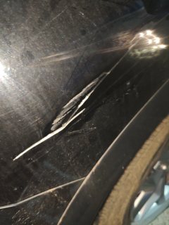 Right Rear Fender