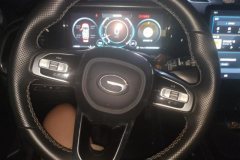 2022 GAC Trumpchi Trumpchi GS8 2022 PilotSeries 2.0TGDI AT 2WDLuxurySmart Connect（7Seat） #15