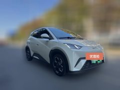 2024 BYD Seagull 2024 Glory 305KM freeEdition #3